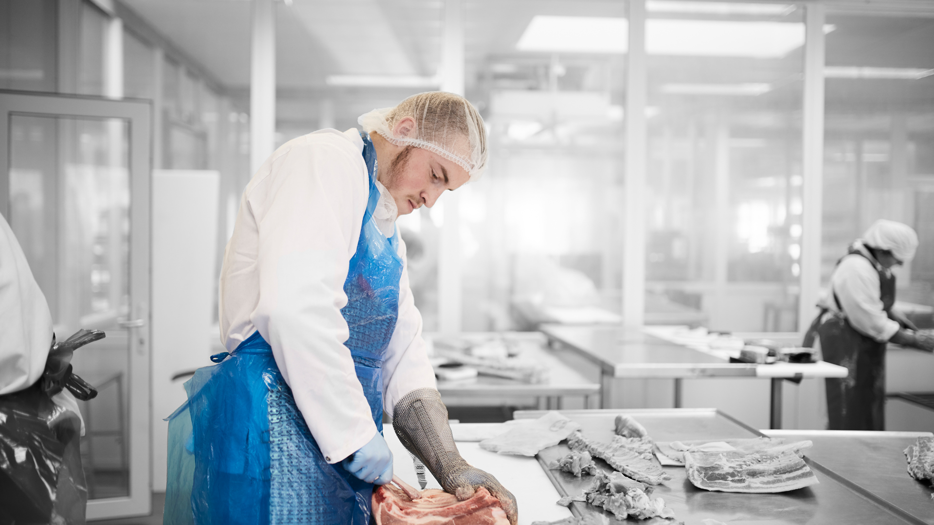 ZBC labour market training - butcher cutting meat