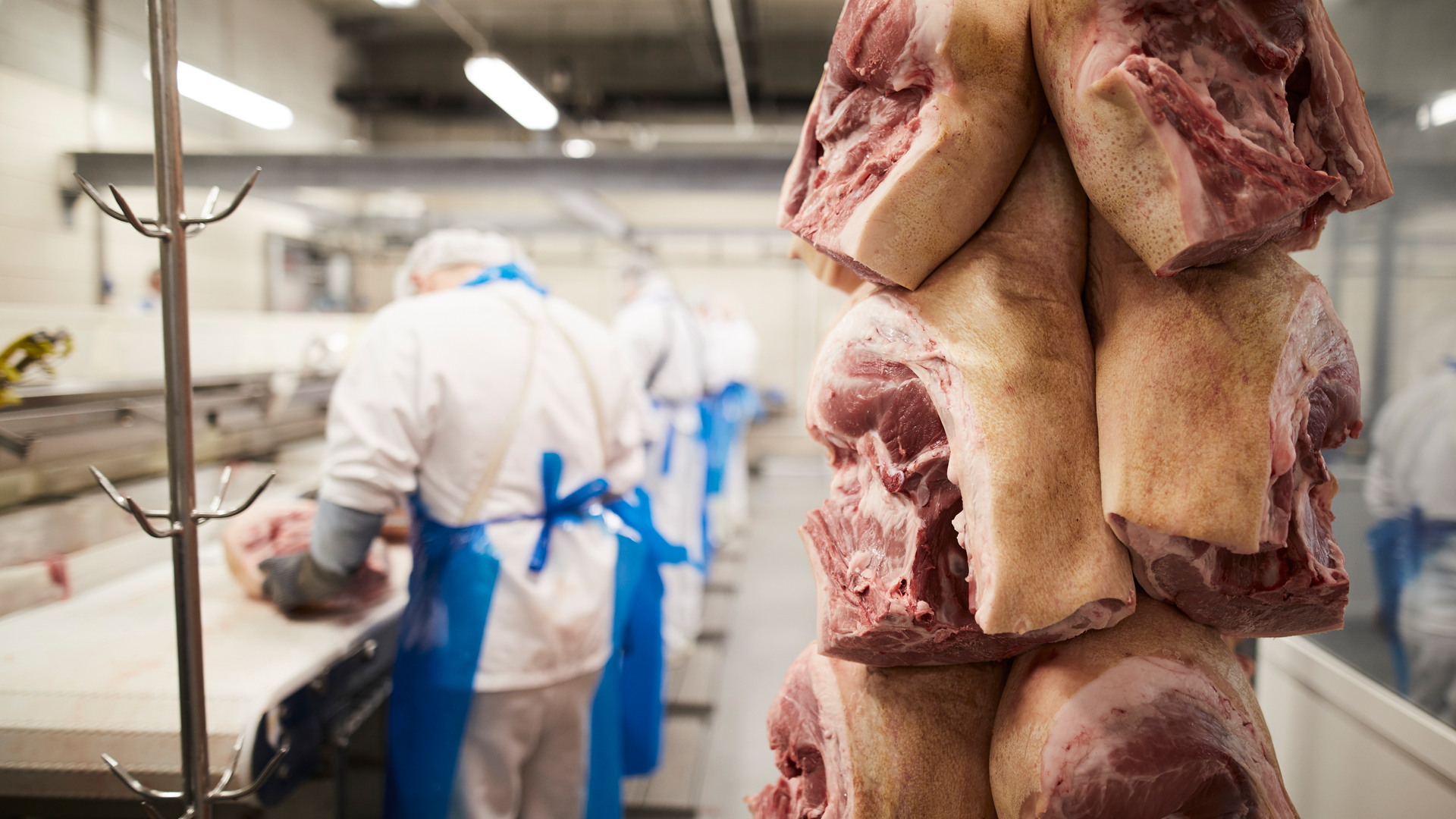 ZBC labour market training - butcher working