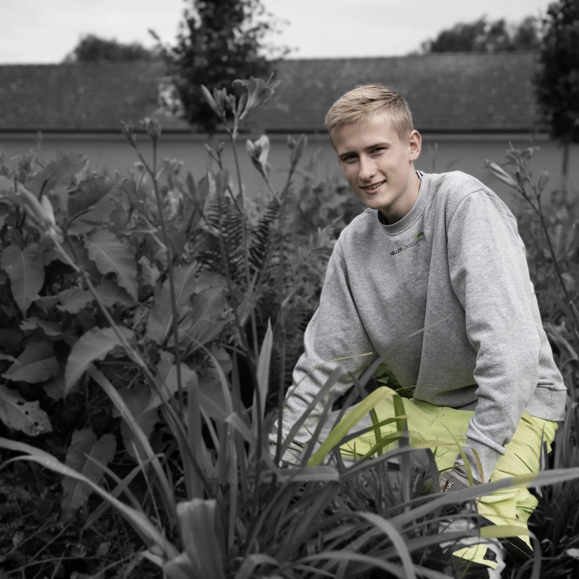 Elev på anlægsgartneruddannelsen iblandt planter
