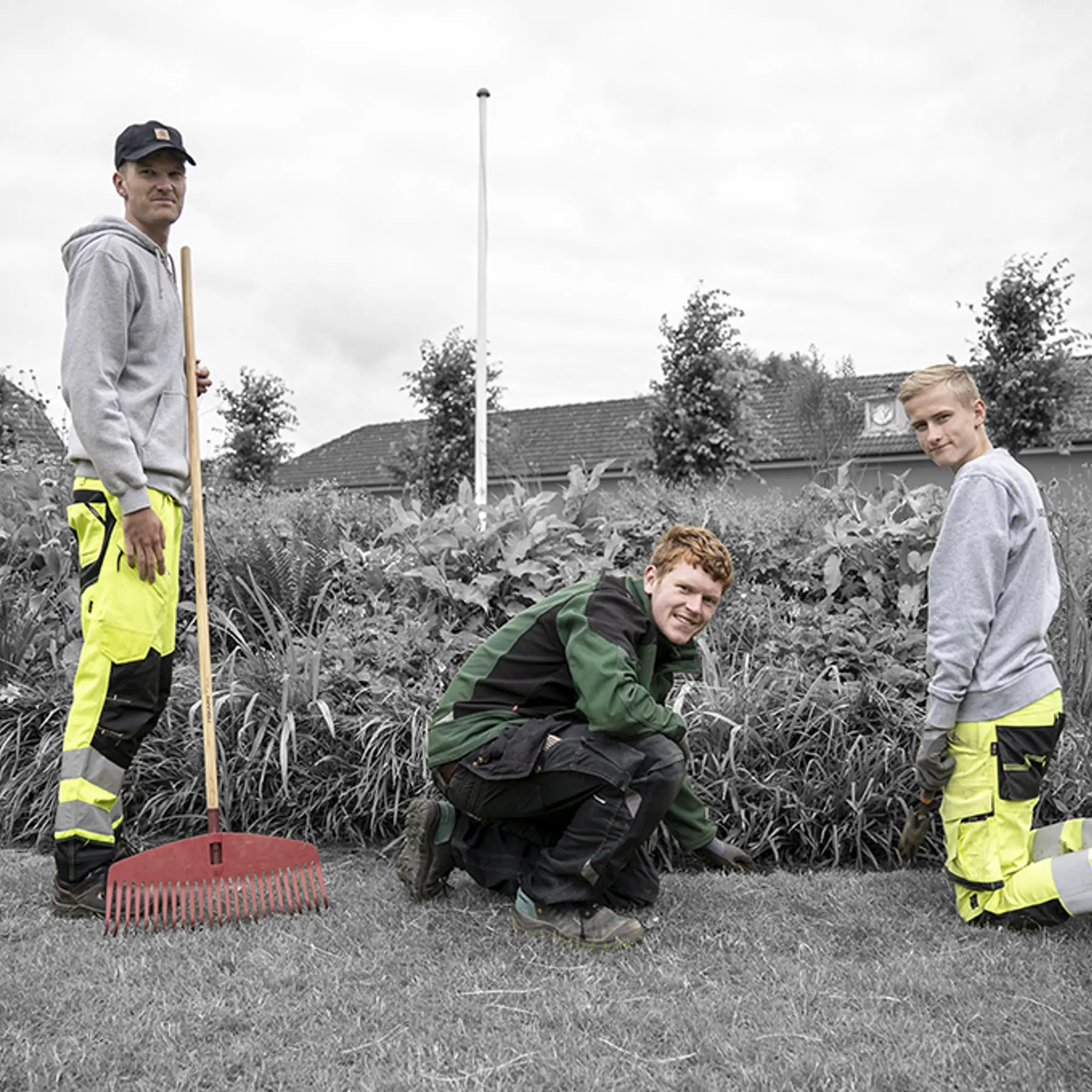Anlægsgartnerelever arbejder i plantebed