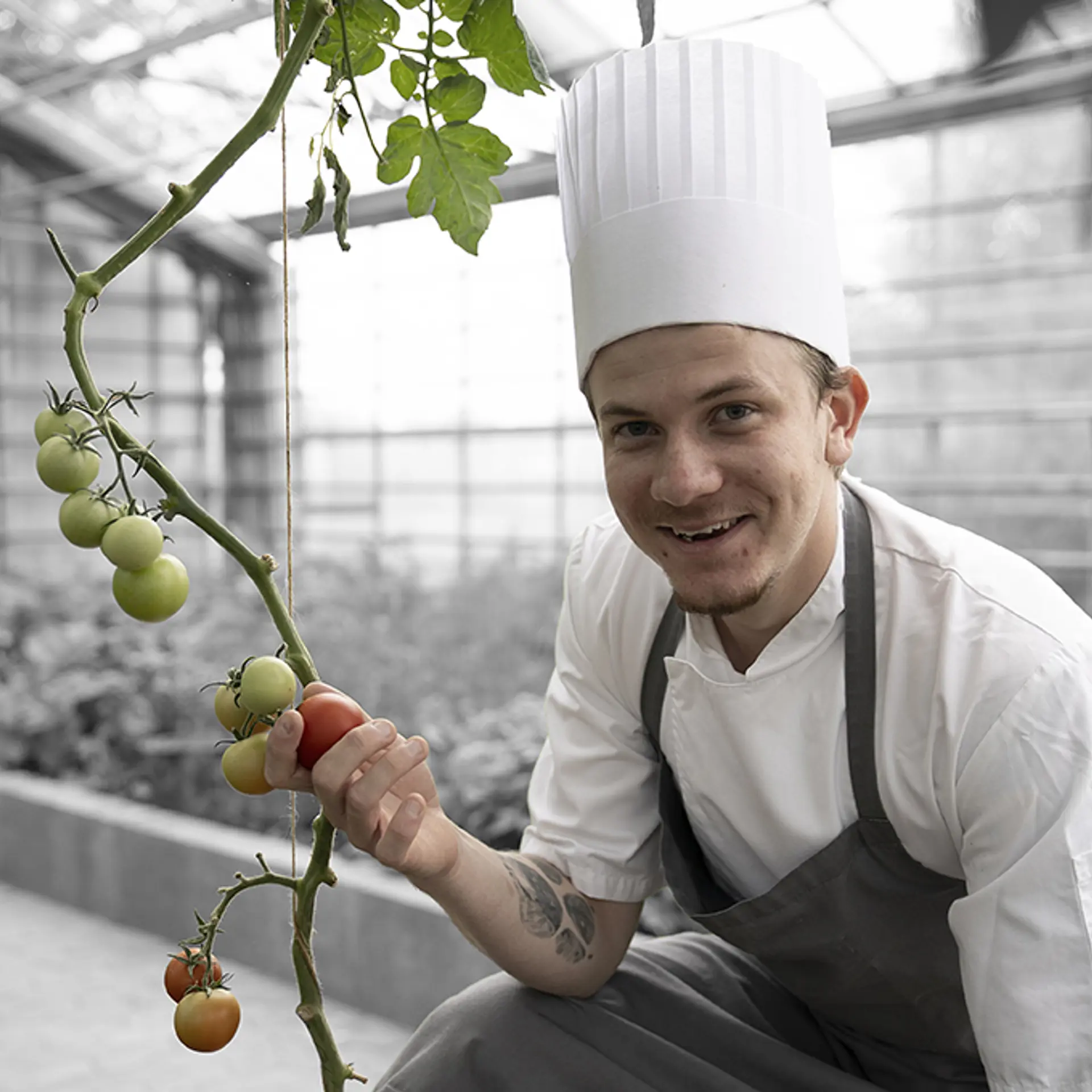 Kokkeelev på uddannelsen til Gastronom arbejder med grøntsager