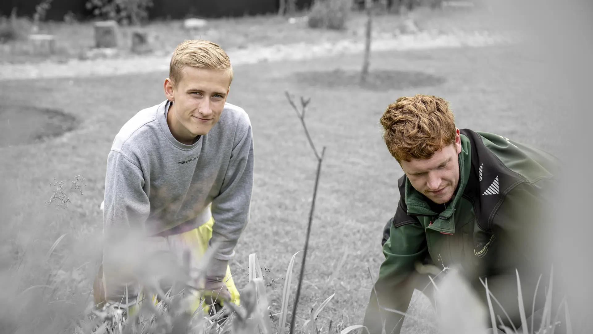 Elever på uddannelsen til anlægsgartner arbejder ved bed