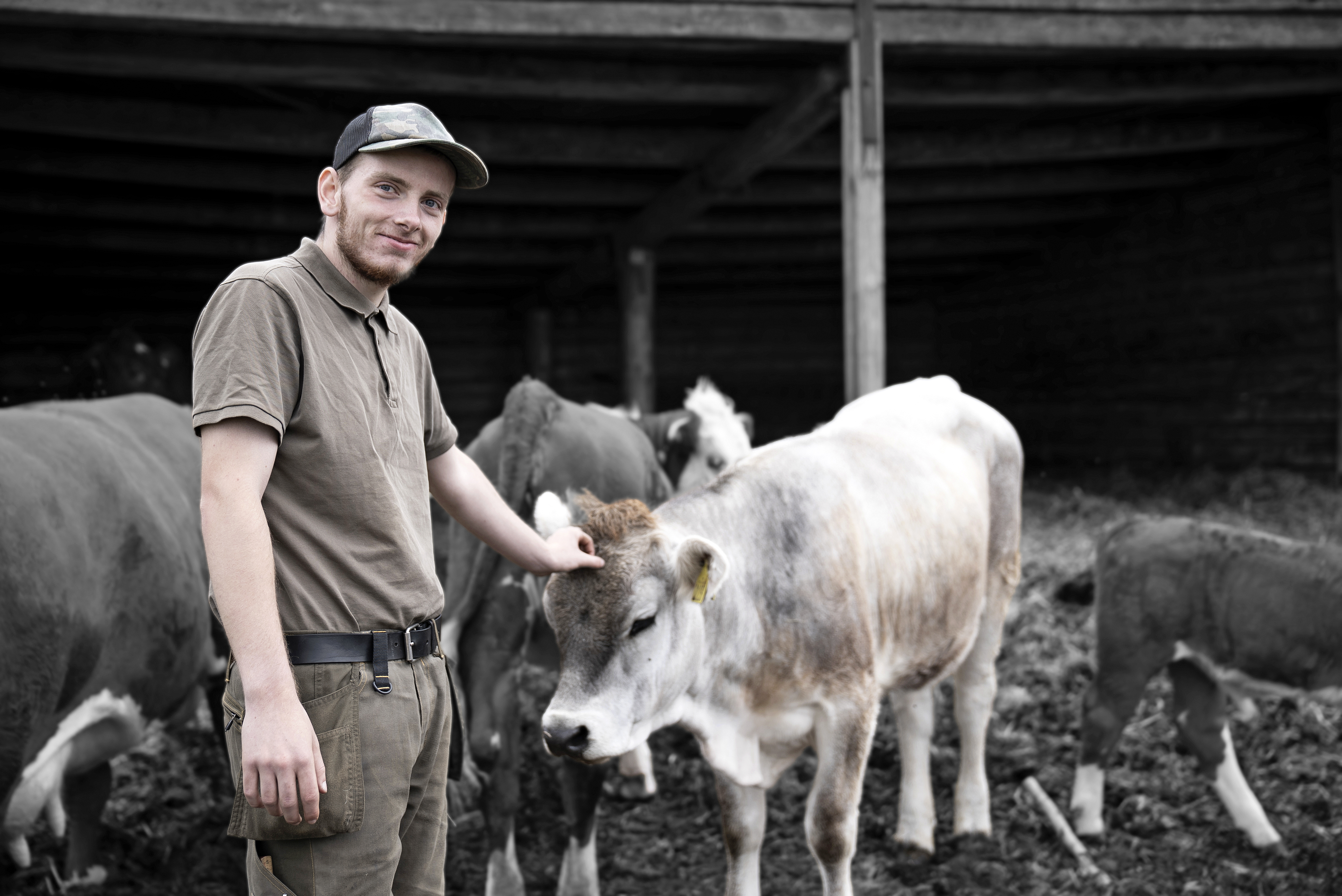 Arbejdet med dyr på uddannelsen til landmand