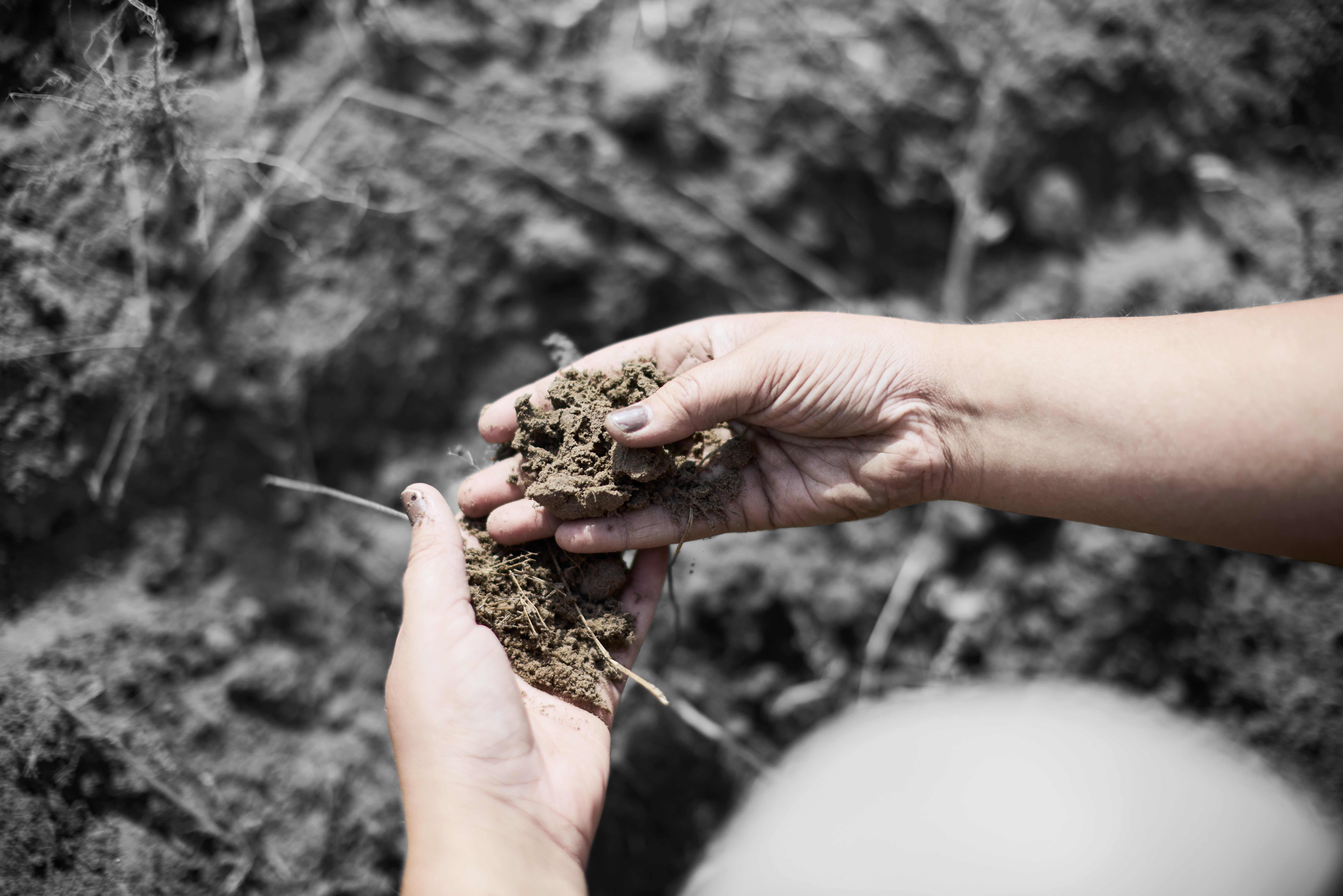 Landmand kigger på jord