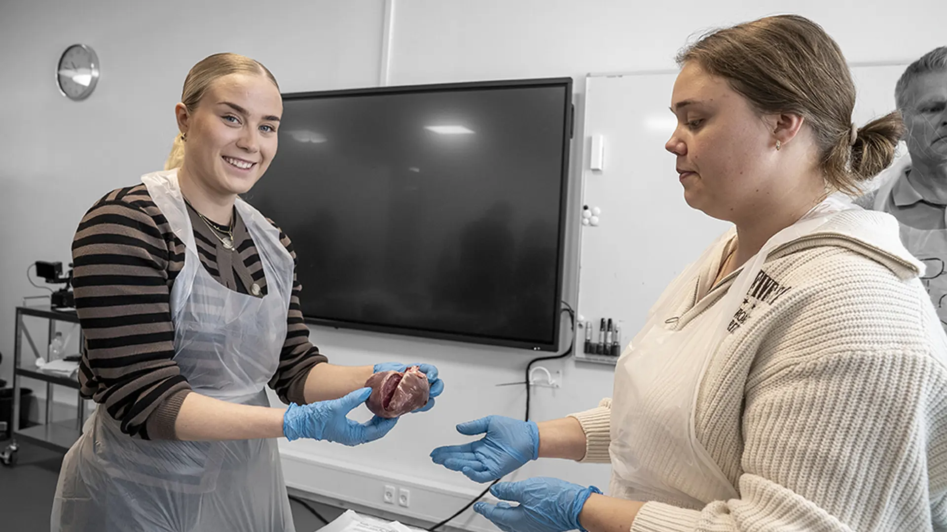 Elever fra Social- og sundhedsassistentuddannelsen arbejder med anatomi og kroppens organer
