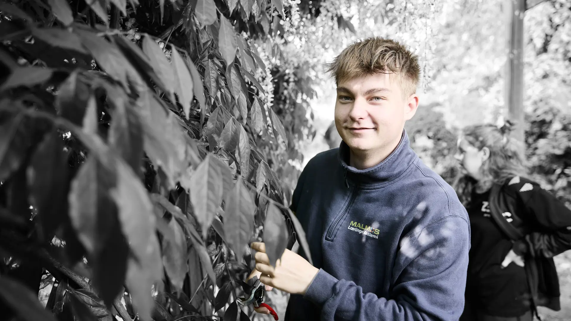Anlægsgartner i haven, mens han står ved en hæk