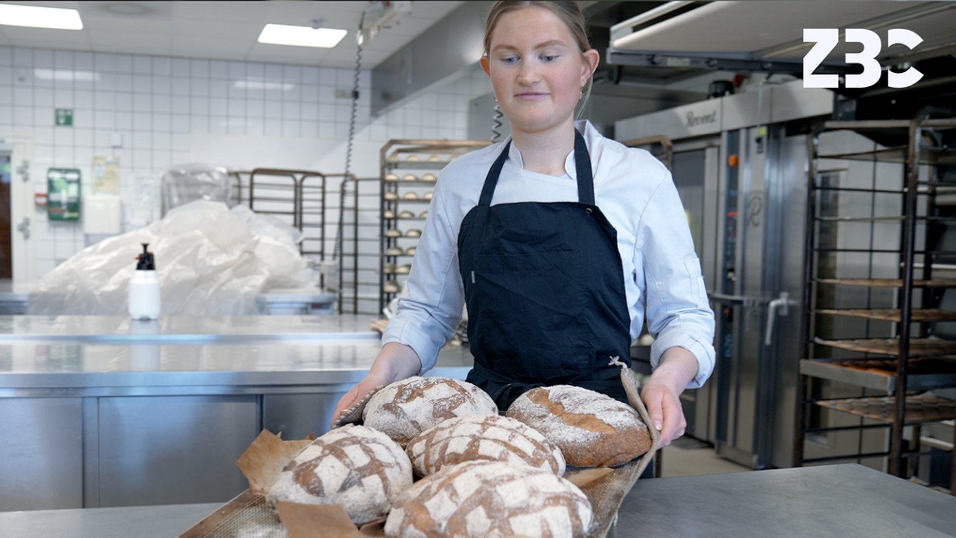 ZBC - Vocational education and training in Denmark