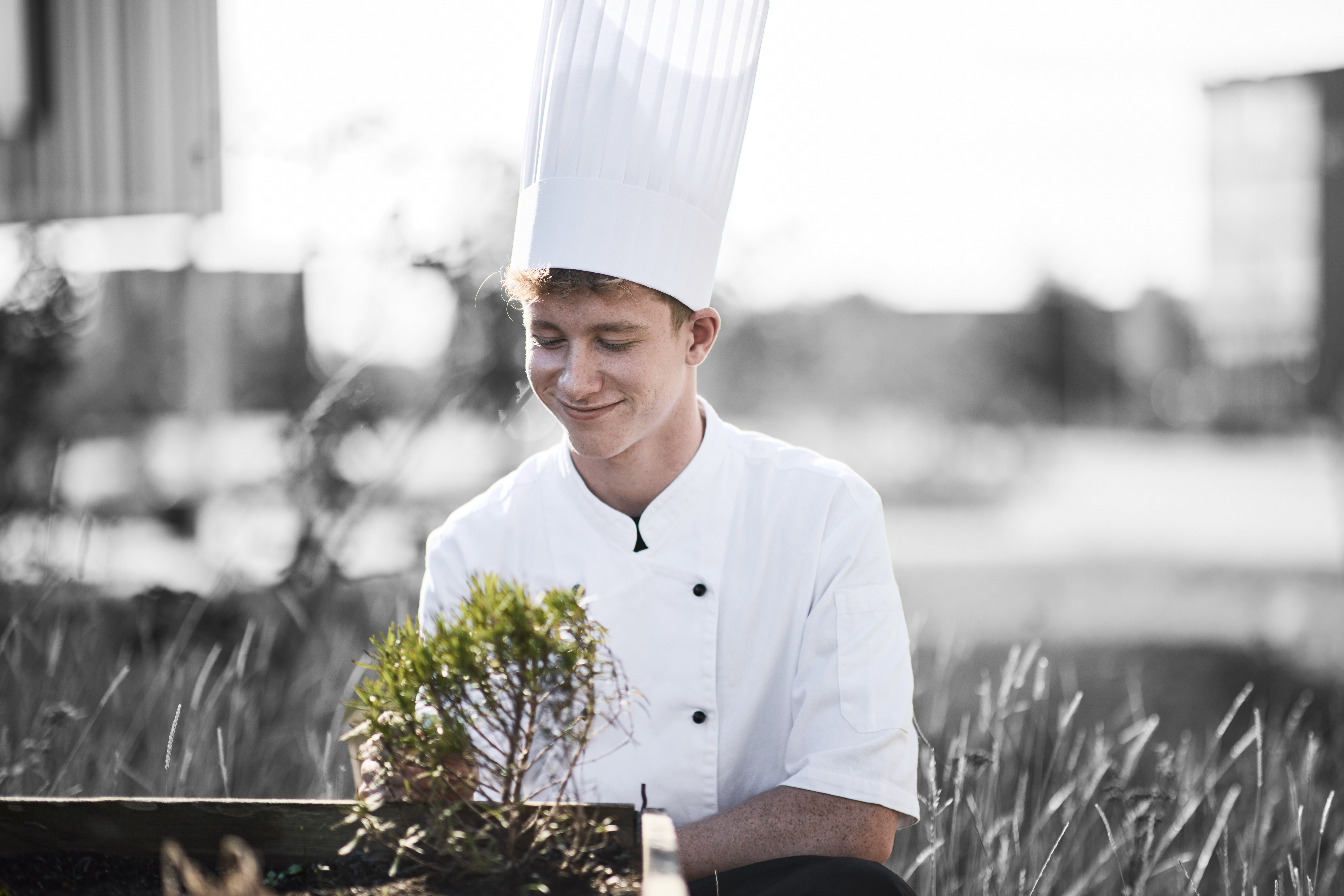 Kok ved krydderurtebed