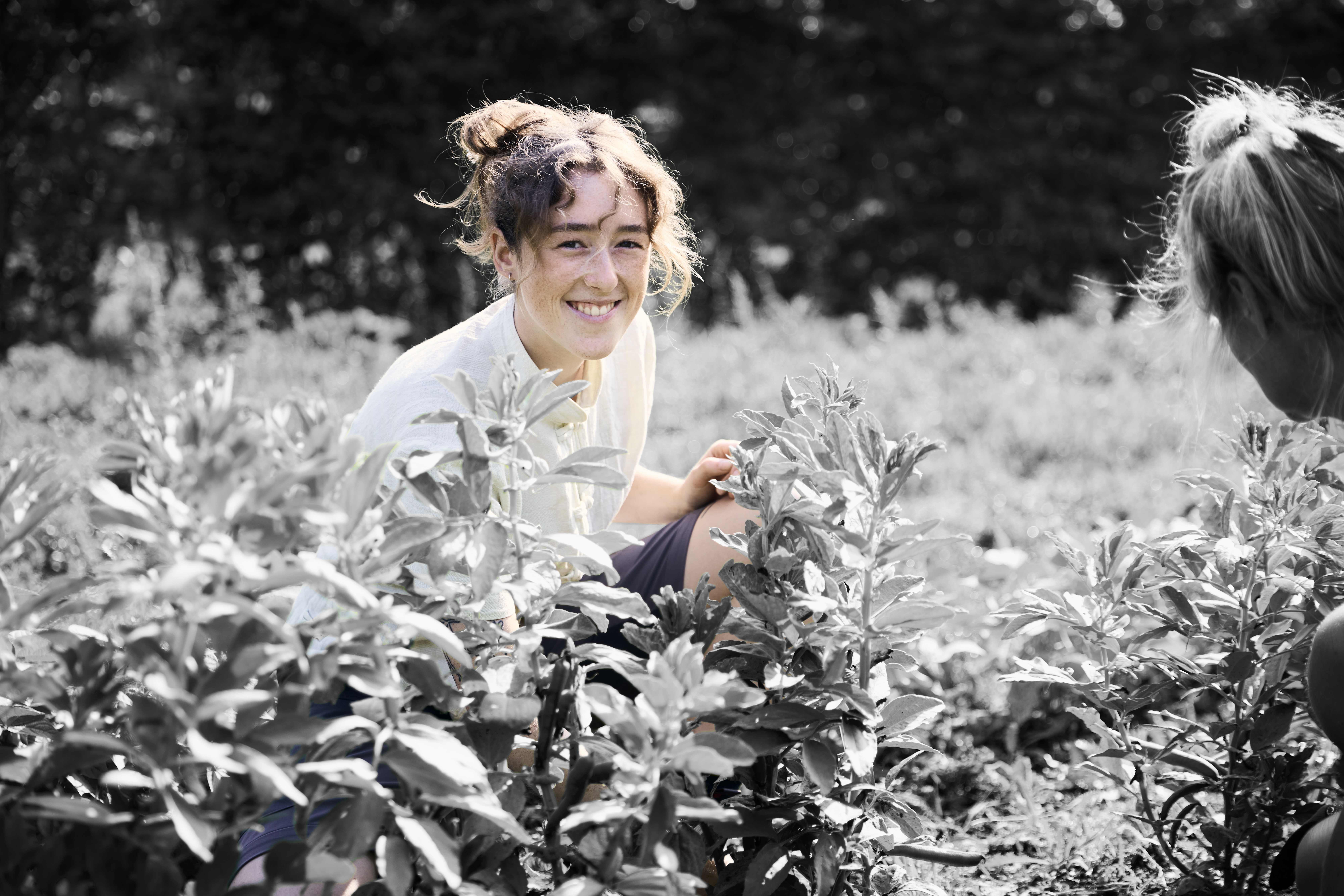 Landmand sidder ved en busk